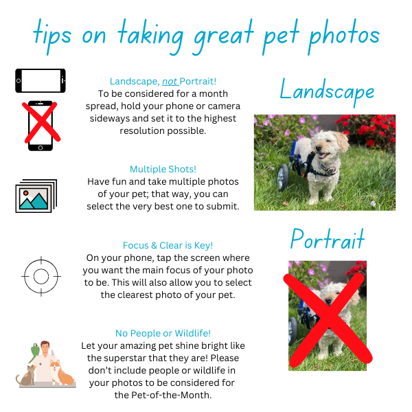 Photos Skills